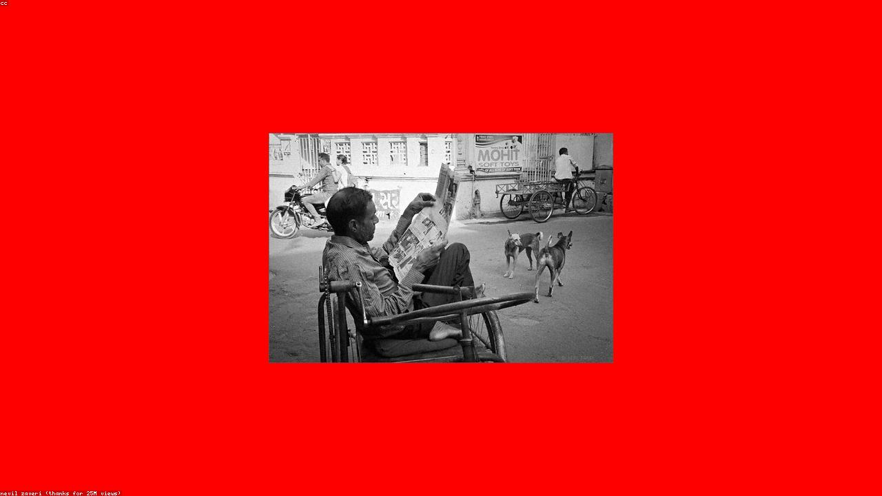 'मैं बच्चों के साथ लाठी खाती', छात्र प्रदर्शन के समर्थन में उतरीं सीमा पाहवा, बोलीं- इंसानियत जगाइए