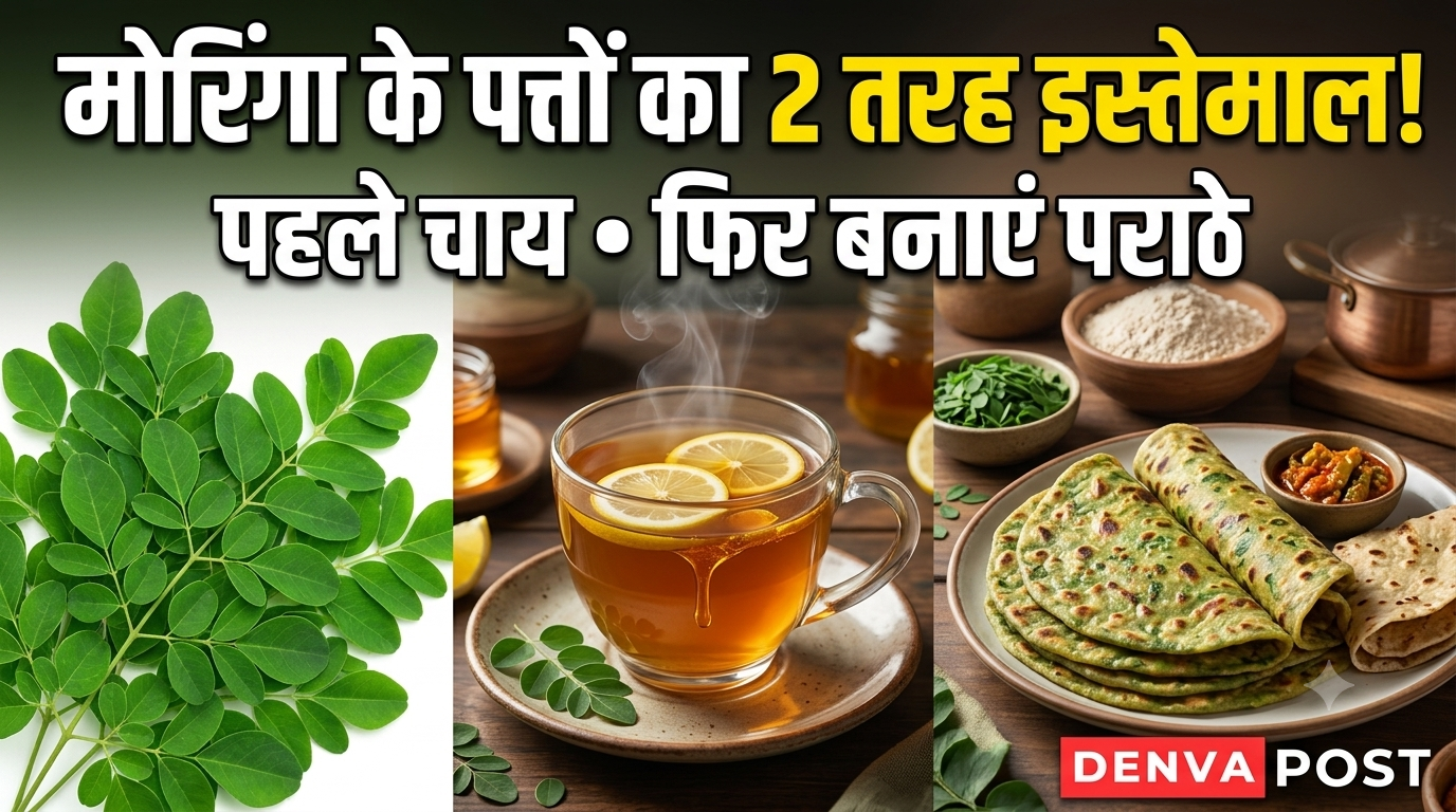 मोरिंगा के पत्तों से बनाएं चाय और पराठे, एक ही बार में दो तरह से करें इस्तेमाल