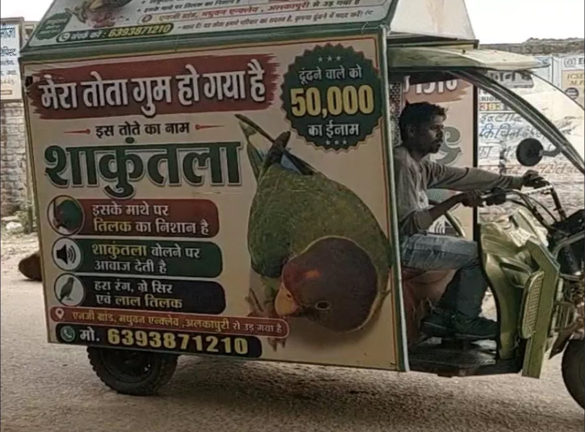 घर की लाडली 'मिट्ठू' हुई लापता, तलाशने वाले को मिलेगा ₹50 हजार का इनाम; ई-रिक्शा से पूरे शहर में मुनादी