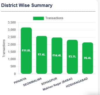 District Wise Summary