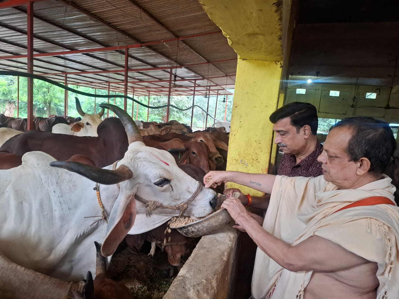 नर्मदापुरम की गौशालाओं में श्रद्धा और उल्लास से मनाई गई श्रीकृष्ण जन्माष्टमी