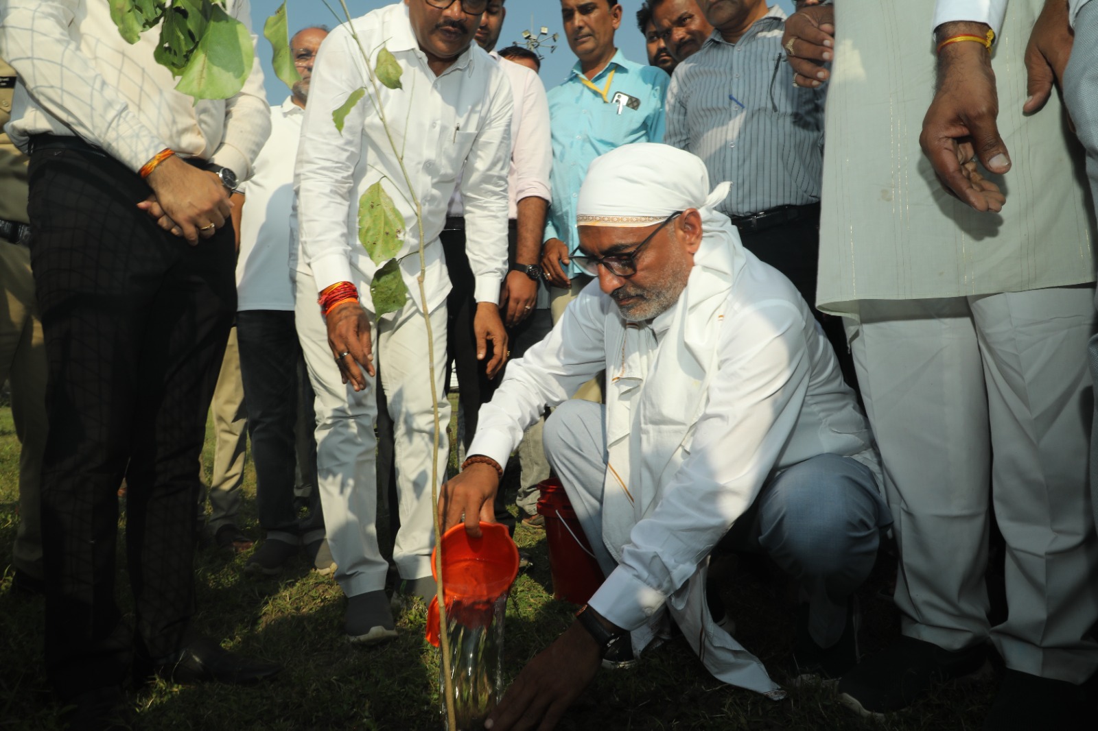 सांसद द्वारा पौधरोपण किया गया